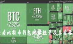 如何查看比特币钱包地址