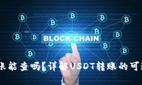 USDT私人钱包转账能查吗？详解USDT转账的可追溯性与隐私保护