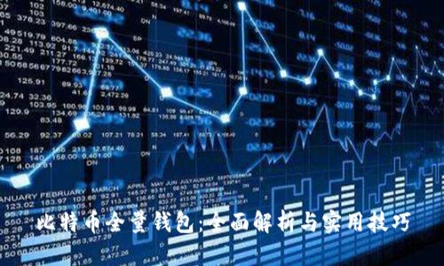 比特币全量钱包:全面解析与实用技巧