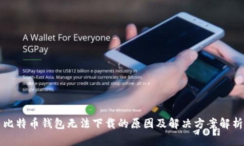 比特币钱包无法下载的原因及解决方案解析