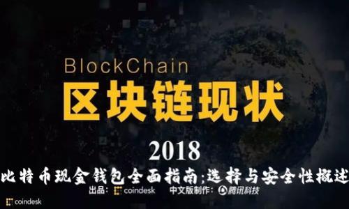 比特币现金钱包全面指南:选择与安全性概述