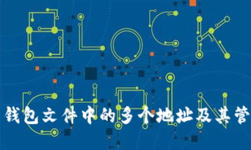 比特币钱包文件中的多个地址及其管理详解