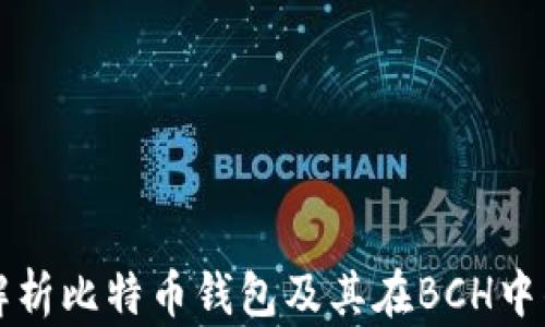 
全面解析比特币钱包及其在BCH中的应用