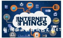 深入解析：哪些区块链钱