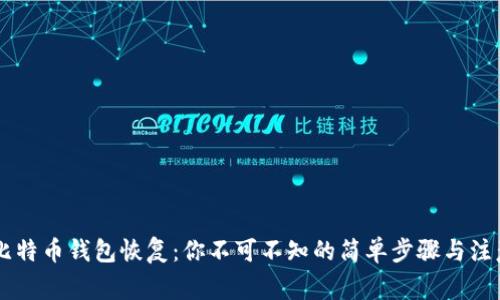 手机比特币钱包恢复：你不可不知的简单步骤与注意事项