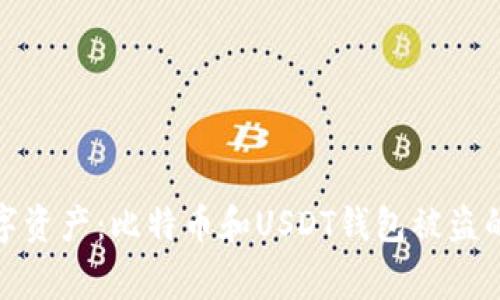 保护你的数字资产：比特币和USDT钱包被盗的警示与应对