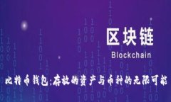 比特币钱包：存放的资产