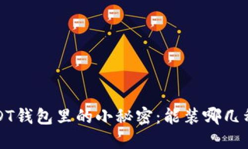  USDT钱包里的小秘密：能装哪几种币？