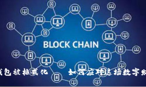 当比特币钱包被格式化——如何应对这场数字财富的危机？