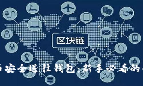 “将比特币安全送往钱包：新手必看的全面指南”