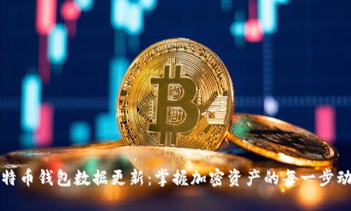 比特币钱包数据更新：掌握加密资产的每一步动态