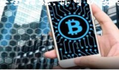 在这里，我可以为你提供