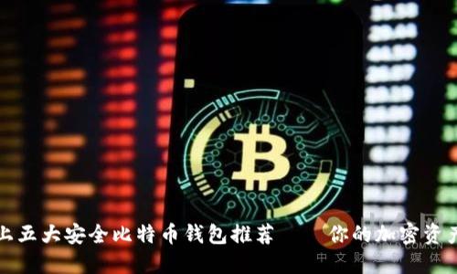 欧美市场上五大安全比特币钱包推荐——你的加密资产保护指南