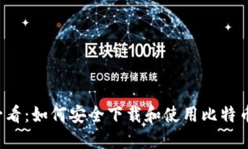 新手必看：如何安全下载和使用比特币钱包？