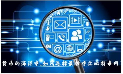在数字货币的海洋中，如何选择最佳中文比特币网页钱包？