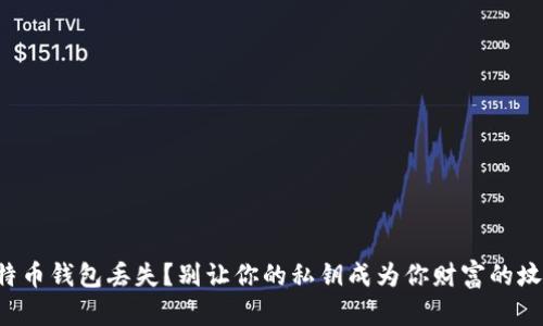 比特币钱包丢失？别让你的私钥成为你财富的坟墓！