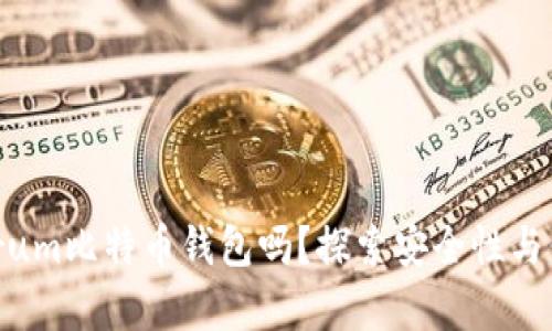 你真的了解Electrum比特币钱包吗？探索安全性与便捷性的完美结合