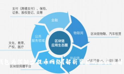USDT钱包为何缺少提币网络？解析背后的原因与解决方案