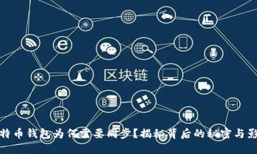 比特币钱包为何需要同步？揭秘背后的秘密与影响