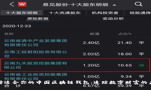 如何选择适合你的中国区块链钱包：追踪数字财富的未来之路