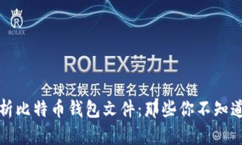 深入解析比特币钱包文件：那些你不知道的秘密