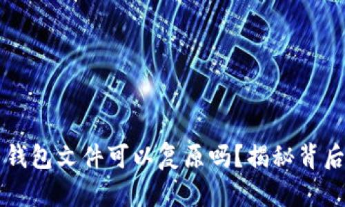 比特币钱包文件可以复原吗？揭秘背后的真相