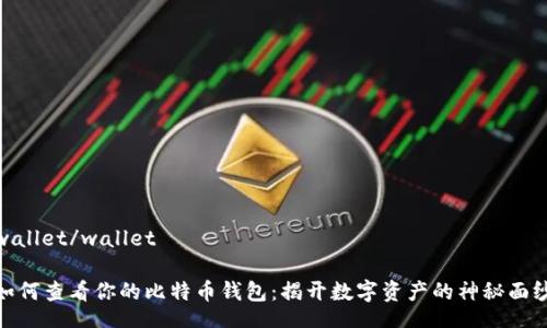 wallet/wallet

如何查看你的比特币钱包：揭开数字资产的神秘面纱