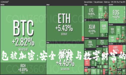 比特币钱包被加密：安全保障与数字财富的双重考量