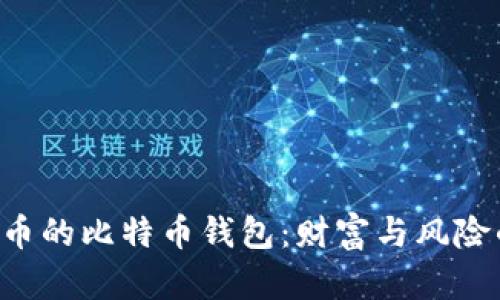 1亿人民币的比特币钱包：财富与风险的双重奏