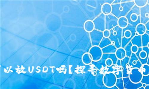 钱包里可以放USDT吗？探寻数字货币存储之道