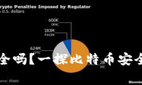 比特币美国钱包安全吗？一探比特币安全的真相与常见误区
