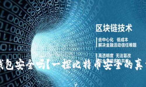 比特币美国钱包安全吗？一探比特币安全的真相与常见误区