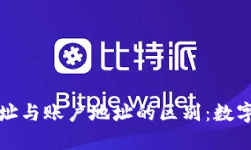 深入了解比特币钱包地址与账户地址的区别：数字货币世界中的隐秘符号