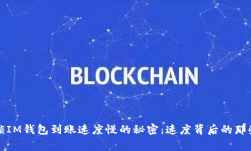 解锁IM钱包到账速度慢的秘密：速度背后的那些事