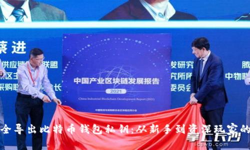 如何安全导出比特币钱包私钥：从新手到资深玩家的全解读