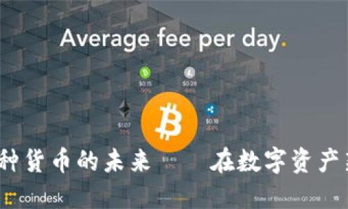 比特币钱包：探索多种货币的未来——在数字资产新时代的机遇与挑战
