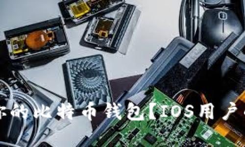 如何选择适合你的比特币钱包？IOS用户的全方位指南...