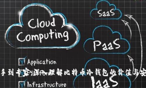 从新手到专家：深入理解比特币冷钱包的价值与安全性