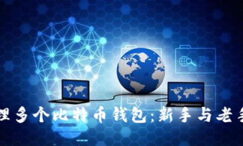 如何安全管理多个比特币钱包：新手与老手的必备指南