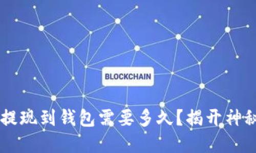 虚拟币提现到钱包需要多久？揭开神秘面纱...