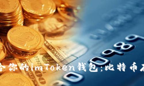 如何选择最适合你的imToken钱包：比特币存储与管理指南