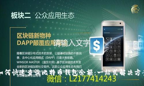 如何快速查询比特币钱包余额：一站式解决方案