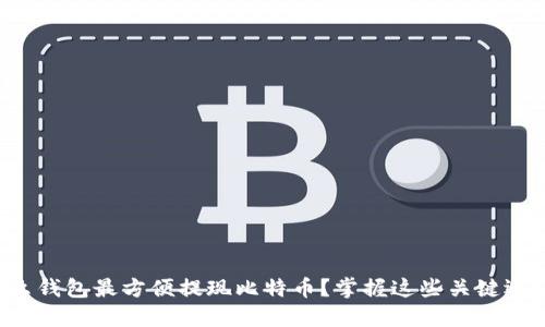 什么钱包最方便提现比特币？掌握这些关键选项！