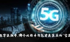 在数字浪潮中，哪个比特