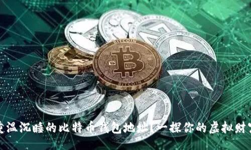 br
如何重温沉睡的比特币钱包地址？一探你的虚拟财富之旅