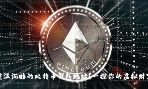 br
如何重温沉睡的比特币钱包地址？一探你的虚拟财富之旅