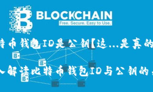 比特币钱包ID是公钥？这...是真的吗？

深入解读比特币钱包ID与公钥的关系