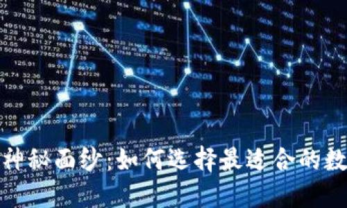 揭开区块链的神秘面纱：如何选择最适合的数字钱包与矿池