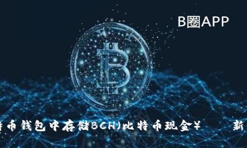 如何安全地在比特币钱包中存储BCH（比特币现金）——新手必看的实用指南