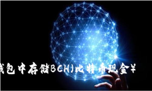 如何安全地在比特币钱包中存储BCH（比特币现金）——新手必看的实用指南